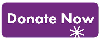 Donate Now button